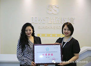 乐山市市中区阳光飞扬艺术培训学校有限公司